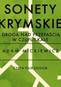 Sonety krymskie. Droga nad przepaścią w Czufut-Kale - Mickiewicz Adam