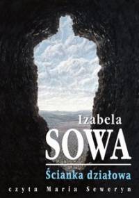 Ścianka działowa - Sowa Izabela
