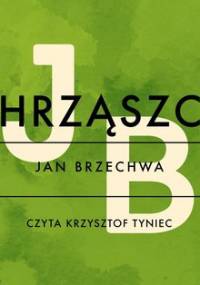 Chrząszcz - Brzechwa Jan
