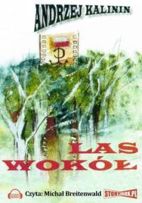 Las wokół - Kalinin Andrzej