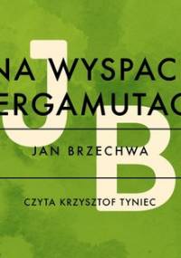 Na Wyspach Bergamutach - Brzechwa Jan