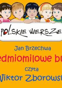 Polskie wiersze. Siedmiomilowe buty - Brzechwa Jan