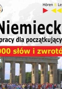 Niemiecki w pracy dla początkujących. 1000 słów i zwrotów - Guzik Dorota