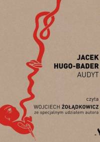 Audyt - Hugo-Bader Jacek