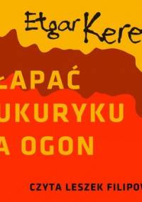 Złapać kukuryku za ogon - Keret Etgar