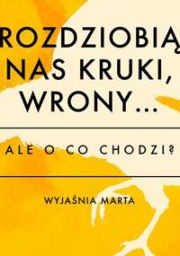 Ale o co chodzi? Rozdzióbią nas kruki, wrony... - Jaźwińska Joanna