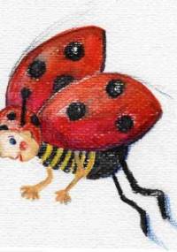 Bajka uzdrawiajka. Biedroneczka Klara - Piecyk Justyna