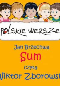 Polskie wiersze. Sum - Brzechwa Jan