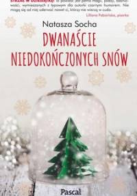 Dwanaście niedokończonych snów - Socha Natasza