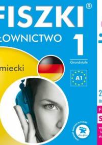 Fiszki audio. Język niemiecki. Słownictwo 1 - Perczyńska Kinga