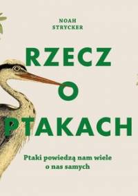 Rzecz o ptakach - Strycker Noah