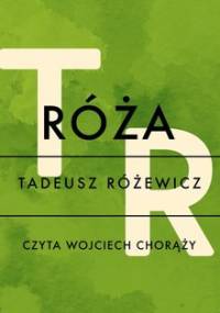 Róża - Różewicz Tadeusz
