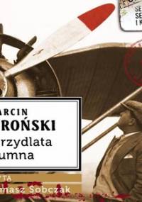 Skrzydlata trumna. Komisarz Maciejewski. Tom 4 - Wroński Marcin