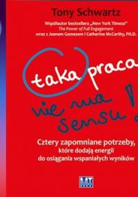 Taka praca nie ma sensu! - Schwartz Tony