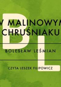 W malinowym chruśniaku - Leśmian Bolesław