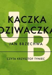 Kaczka dziwaczka - Brzechwa Jan