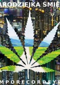 Czarodziejka Śmiejka - Comporecordeyros