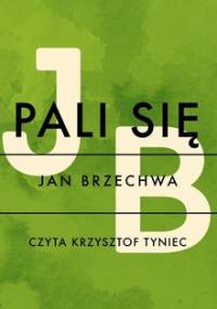 Pali się - Brzechwa Jan