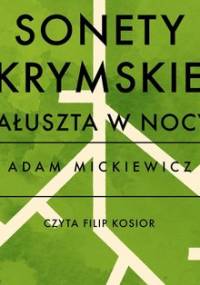 Sonety krymskie. Ałuszta w nocy - Mickiewicz Adam
