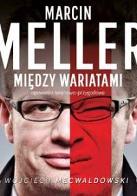 Między wariatami - Meller Marcin