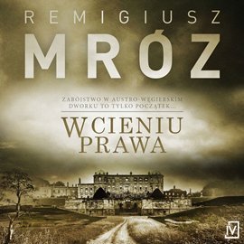W cieniu prawa - Mróz Remigiusz