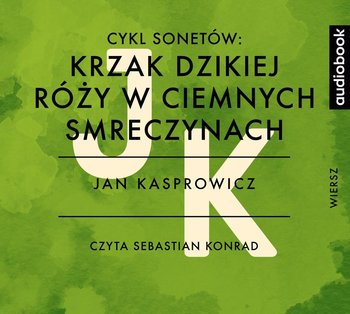 Krzak dzikiej róży w ciemnych smreczynach - Kasprowicz Jan