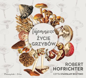 Tajemnicze życie grzybów - Hofrichter Robert