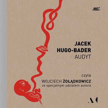 Audyt - Hugo-Bader Jacek