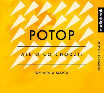 Ale o co chodzi. Wyjaśnia Marta. Potop - Jaźwińska Joanna