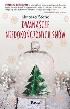 Dwanaście niedokończonych snów - Socha Natasza
