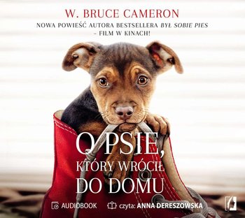 O psie, który wrócił do domu - Cameron Bruce W.