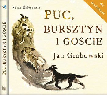 Puc, Bursztyn i goście - Grabowski Jan
