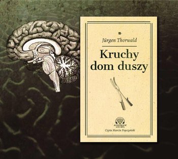 Kruchy dom duszy - Thorwald Jurgen
