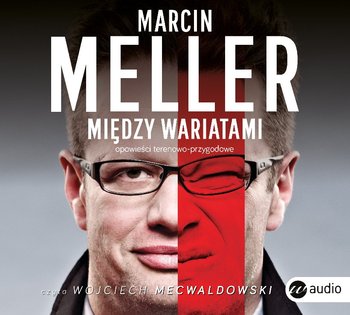 Między wariatami - Meller Marcin